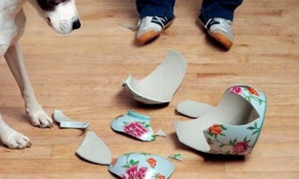 tinhhoa.net tVRrtY 20160705 4 loai do vat ky nhat khi bi vo vi mang den diem rui