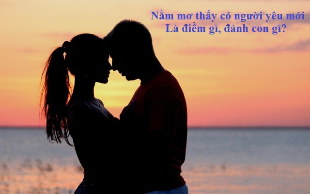 d7adecdfbfe23dab03290c84e6492dd3d246c517